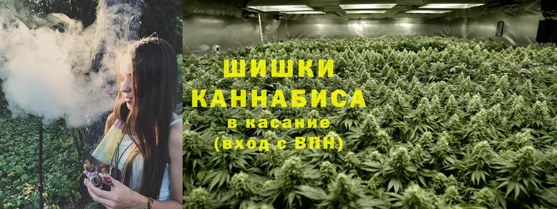 где продают наркотики  Скопин  Канабис Ganja 